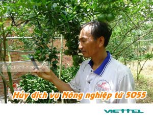 Hướng dẫn hủy nhanh dịch vụ Nông nghiệp mạng Viettel từ tổng đài 5055