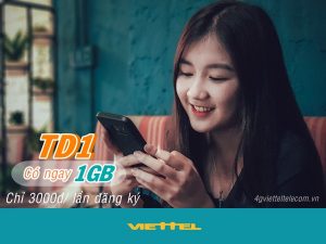 Truy cập mạng thả ga với gói cước TD1 mạng Viettel